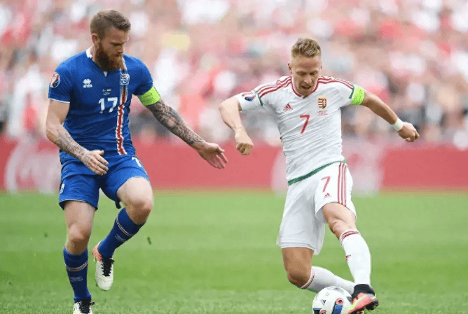 斯洛文尼亚队在欧洲杯比赛中实力抢眼 斯洛文尼亚队在欧洲杯比赛中实力抢眼