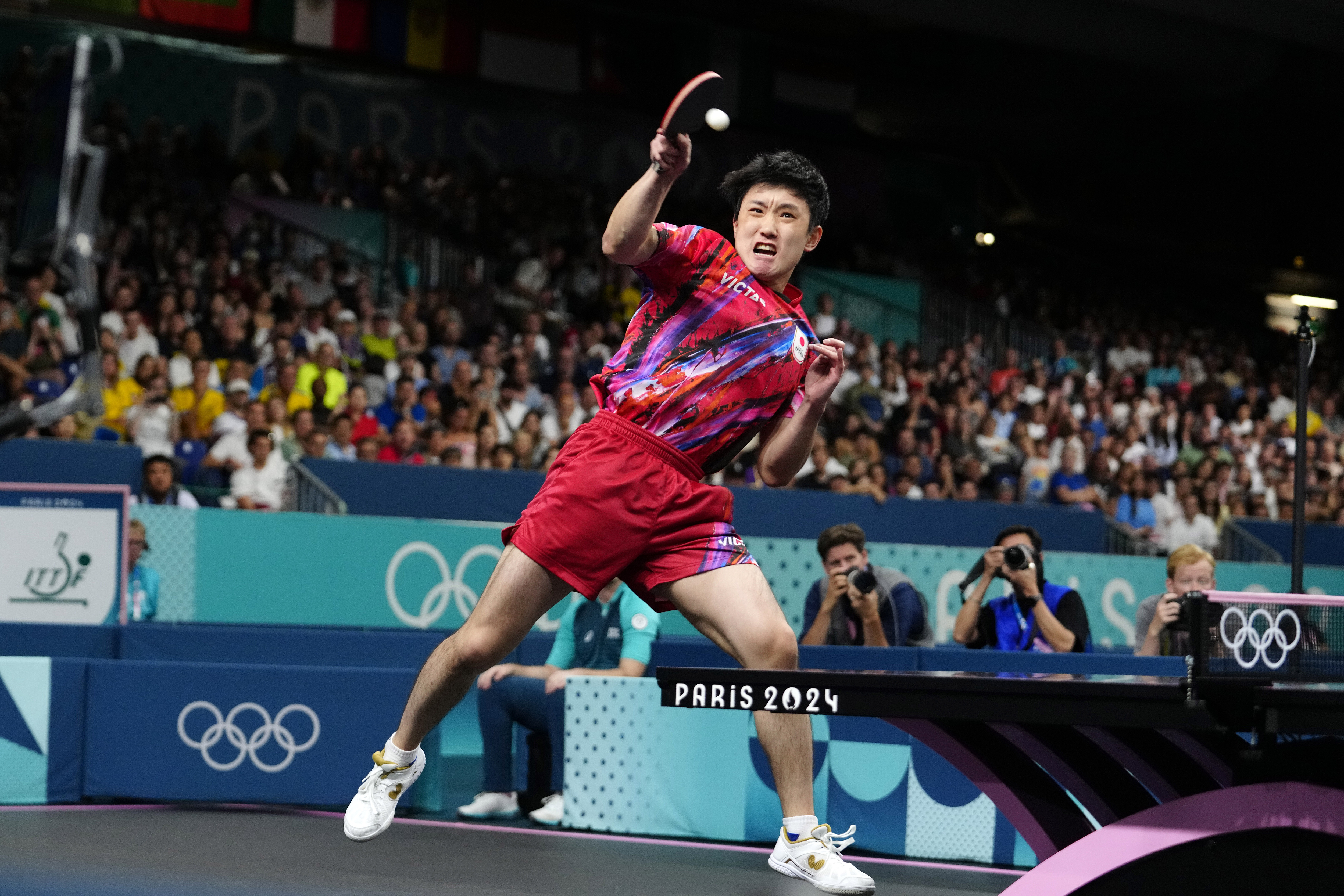 包含比利时乒乓球队绝杀德国乒乓球队,张本智和关键制胜的词条 包含比利时乒乓球队绝杀德国乒乓球队,张本智和关键制胜的词条